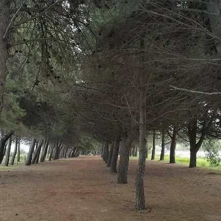 شقة Casa Ilona بينيتو